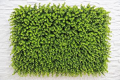 《巧克力广场模拟器》Steam上线 如何成为巧克力大师